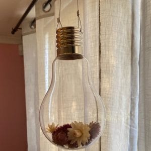 Dried flower globe